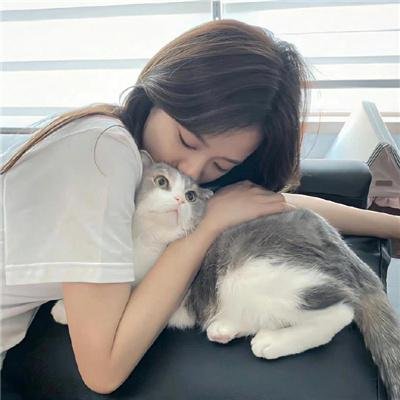 野狗们