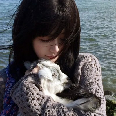 保留地之犬第三季